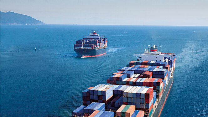 Two large container ships sail through open blue waters with mountains visible in the hazy distance.