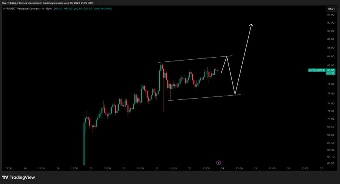 A TradingView 1-hour chart of the Hyperliquid Perpetual Contract (HYPE/USD) showing price consolidation within a bullish ascending channel, with a white arrow projecting a breakout toward $89-90 after a potential dip to support near $78. The current price displayed is $80.56 (+0.09%), illustrating the post's message about using dips as buying opportunities before the next leg higher.