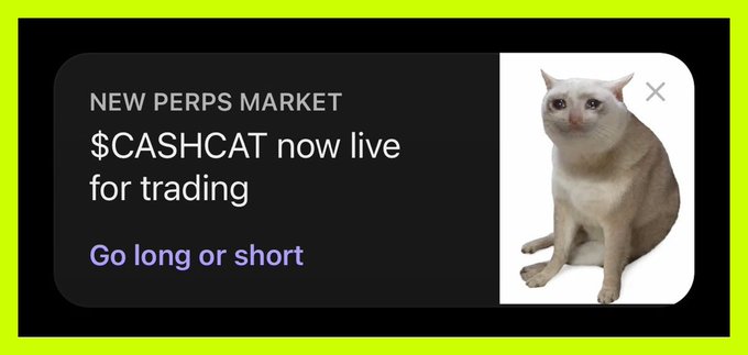 The image shows a promotional banner announcing a "NEW PERPS MARKET" for "$CASHCAT now live for trading" with a "Go long or short" call-to-action, featuring a beige cat with a surprised expression on the right side. The cat represents the Cashcat memecoin from Robinhood Chain, which the post notes is now available for perpetual futures trading on Phantom wallet.