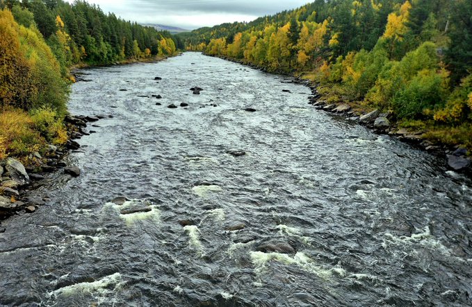A landscape photograph captures a wide, fast-flowing river with rocky rapids, bordered by dense forests displaying green and yellow autumn foliage under a cloudy sky.