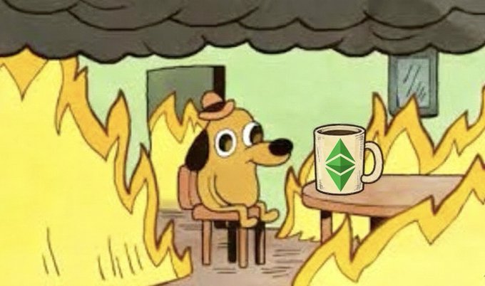 An animated cartoon dog wearing a small hat sits at a table calmly drinking from a mug featuring the Ethereum logo while surrounded by raging yellow flames.