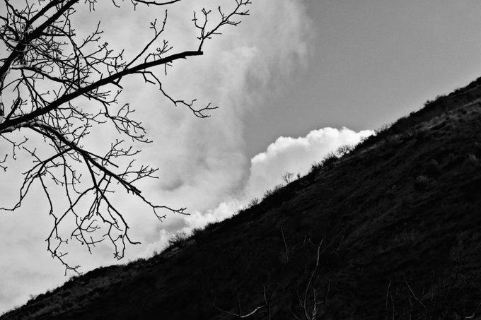 A black-and-white photograph of bare tree branches silhouetted against a cloudy sky, with a dark hillside visible on the right side.