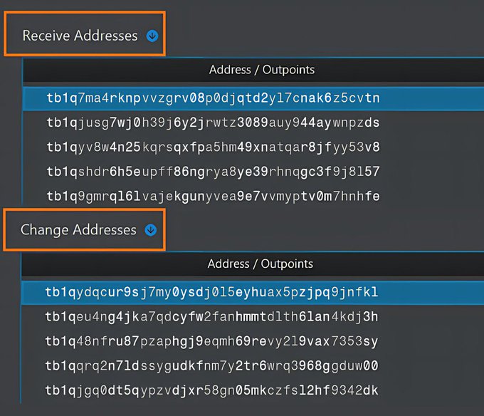 A screenshot of a dark-themed interface displaying lists of cryptocurrency addresses/outpoints under 'Receive Addresses' and 'Change Addresses' menus.