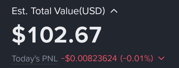A digital screenshot showing an 'Est. Total Value(USD)' of '$102.67' with 'Today's PNL' at '-$0.00823624 (-0.01%)' in red.