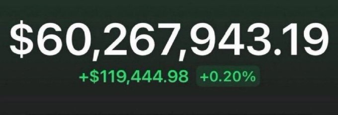 A dark screen displays a large monetary figure of '$60,267,943.19' in white text, with a green indicator below showing '+$119,444.98' and '+0.20%'.