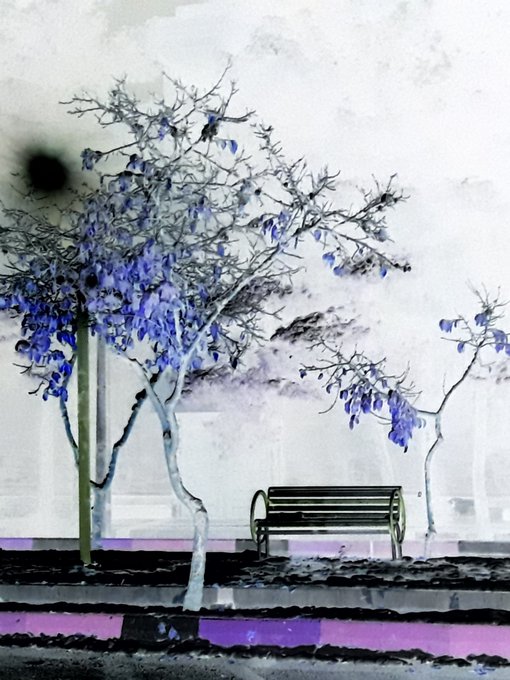 An artistic, stylized image of two bare trees with purple-blue leaves standing on a checkered purple and black ground, with a wooden park bench situated between them against a hazy white background.