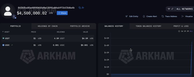 Arkham Intelligence dashboard showing a wallet address holding $4.5M in USDT and USDC, with holdings by chain and balances history displayed.