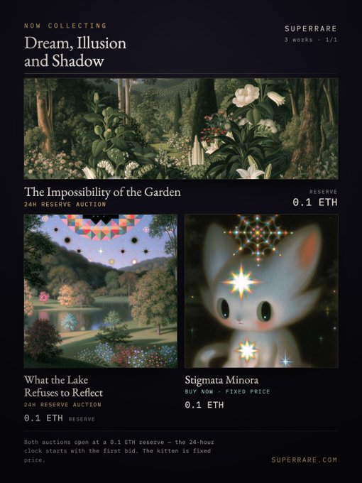 A webpage for SuperRare NFT platform displaying a collection titled 'Dream, Illusion and Shadow' with artworks including 'The Impossibility of the Garden' (0.1 ETH reserve), 'What the Lake Refuses to Reflect' (0.1 ETH reserve), and 'Stigmata Minora' (0.1 ETH buy now).
