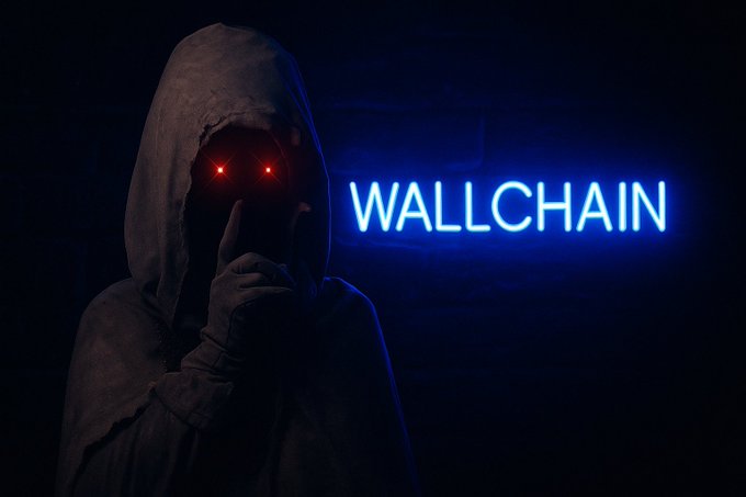 The image features a person wearing a hooded sweatshirt, standing against a dark background that includes a brick wall and neon blue letters reading "Wallchain". The person appears to be making a face or engaging in an action, possibly speaking into a microphone. The focus of the image is on this individual and their actions within the context of the post about Wallchain.