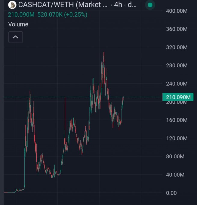 A 4-hour chart of CASHCAT/WETH shows trading volume peaking around 300M and currently at 210.090M (+0.25%), suggesting active but stabilizing market interest in the new Cashcat token following its launch.