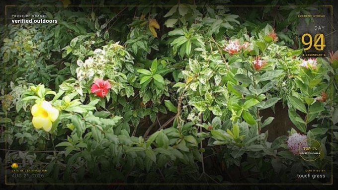 A screenshot from a virtual nature stream labeled 'verified outdoors' showing lush green foliage with yellow and red flowers, displaying 'DAY 94' and 'AUG 21, 2020' with a 'touch grass' certification.