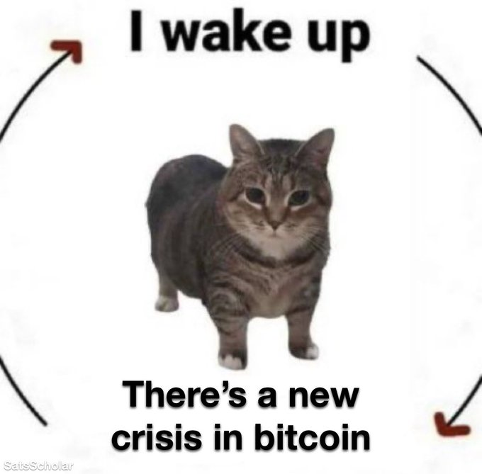 A humorous meme featuring a chubby tabby cat in the center with circular arrows, text reading 'I wake up' at the top and 'There's a new crisis in bitcoin' at the bottom, attributed to 'SatisScholar'.
