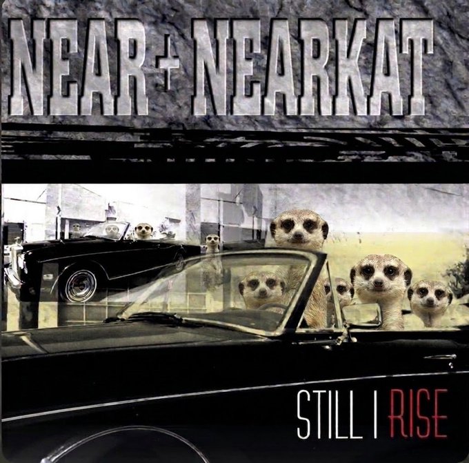 An album cover features meerkats riding in a vintage black car, with the text 'NEAR+NEARKAT' at the top and 'STILL | RISE' in the lower right corner.