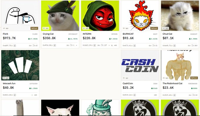 The image displays a meme coin tracking page showing various cat-themed cryptocurrencies including "Flork" ($973.7K), "Crying Cat" ($350.8K), "INTERN" ($220.8K), "BURNCAT" ($93.6K), "Chud Cat" ($87.1K), "latecash.fun" ($40.8K), "CashCoin" ($25.2K), and "The Robinhood Cat" ($23.6K). The page relates to the post by showcasing "CashCoin" as the new launchpad platform launched in collaboration with the $CASHCAT community, where platform fees will be used to buy back the CashCat token.