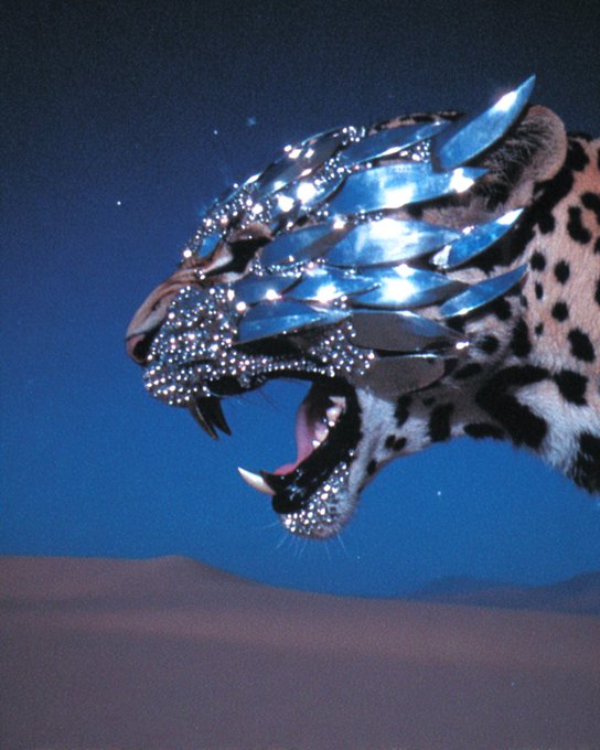 An artistic photo features a cheetah adorned with elaborate silver/metallic face armor and crystal head pieces, roaring against a twilight desert backdrop.