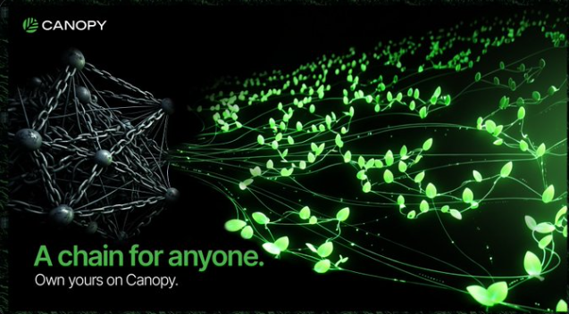 A promotional graphic for Canopy featuring a dark network sphere connected to green leafy vines with the text 'A chain for anyone. Own yours on Canopy.'