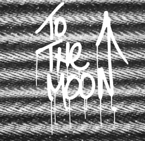 White dripping text reads 'TO THE MOON' against a textured black and white scratched background.