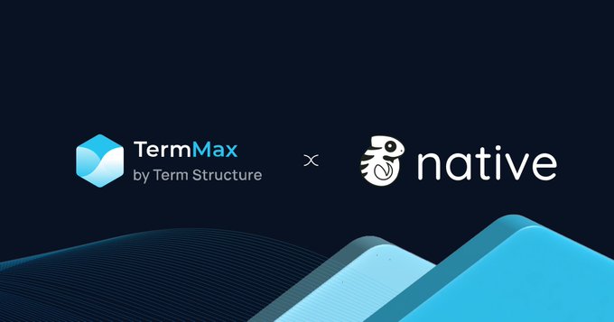 A promotional graphic on a dark blue background showing a partnership between TermMax by Term Structure and Native, separated by an 'x' symbol.