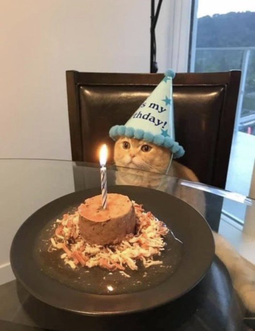 A ginger cat wearing a light blue party hat reading "It's my Birthday!" sits behind a glass table with a small birthday cake topped with a lit candle. The image celebrates the cat's birthday milestone alongside the post's grateful tone, though notably the post references $SUPRA (a cryptocurrency ticker) rather than any visible text in the image.