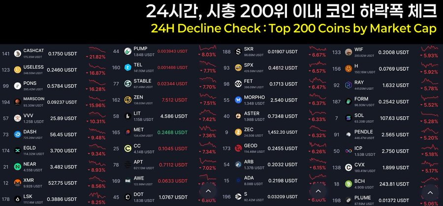 The image shows a "24H Decline Check: Top 200 Coins by Market Cap" dashboard displaying major cryptocurrency losses over 24 hours, with notable drops including CashCat (-21.82%), Marscoin (-15.96%), and ZEC (-6.32%), illustrating the widespread market downturn referenced in the post about Bitcoin holders experiencing sudden, dramatic losses.
