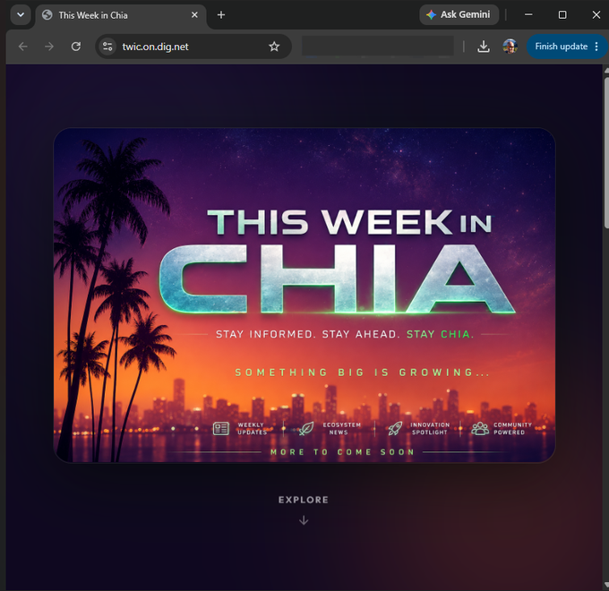 A promotional graphic for "This Week in Chia" featuring a retro-futuristic sunset cityscape with palm trees, displaying the tagline "Stay Informed. Stay Ahead. Stay Chia." and "Something Big Is Growing..." along with icons highlighting weekly updates, ecosystem news, innovation spotlights, and community-powered content—visually representing the new Chia-based website (twic.on.dig.net) whose contents are decrypted in-browser via the DIG RPC.