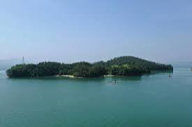 A small, tree-covered island sits in calm water with small boats nearby under a clear sky.