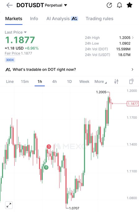 A mobile trading app screenshot showing the DOT/USDT perpetual contract on MEXC, with a last price of 1.1877 USD (+6.96%), 24h high of 1.2005 and low of 1.0902, displayed on a 1-hour candlestick chart.