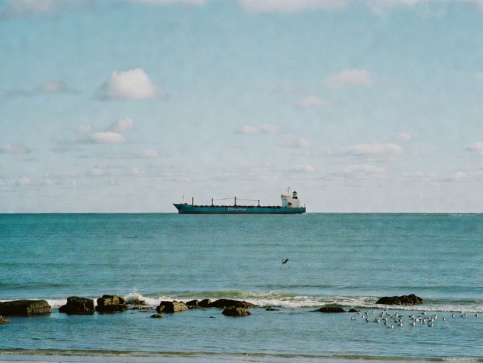 A photograph of a cargo ship on the ocean horizon, with rocks and seagulls visible in the shallow water in the foreground under a partly cloudy sky.