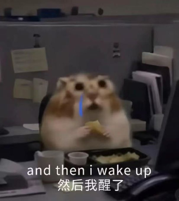 A blurry hamster meme sitting at an office desk holding food, with a blue tear on its face, captioned "and then i wake up" in English and Chinese (然后我醒了).