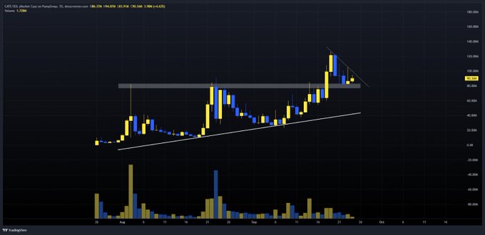 A candlestick chart of $CATE/USD on the Gate.io exchange shows a strong uptrend over August, with price breaking above a horizontal resistance near 60.00 and currently consolidating around 98.70 (+4.62%), supporting the post's claim that CATE could become a billion-dollar meme coin. Volume bars indicate heightened buying activity during the recent breakout, reinforcing the bullish momentum narrative.