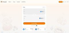 A screenshot of a cryptocurrency trading platform interface showing a swap form with USDT and BSC tokens, displaying rates and an orange confirmation button.