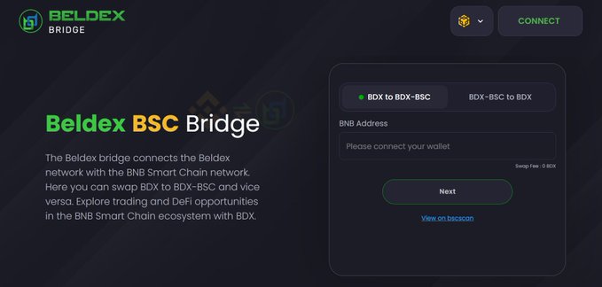 The Beldex BSC Bridge webpage interface allowing users to swap BDX between Beldex network and BNB Smart Chain, featuring a 'BDX to BDX-BSC' tab with a BNB address input field and a Next button.