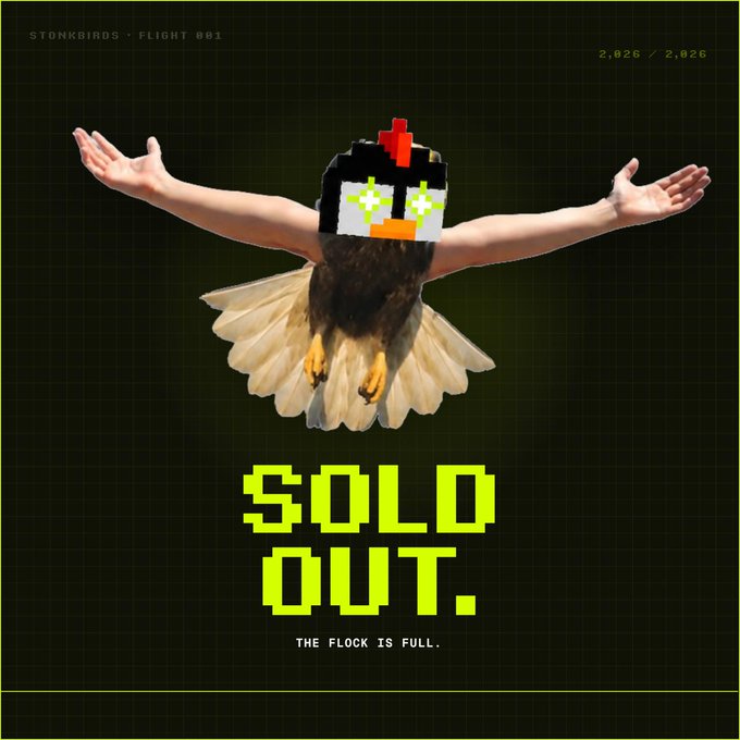 "STONK BIRDS - FLIGHT 001" promotional image announcing a sold-out NFT collection (2,626/2,626), featuring a bird with human arms outstretched and pixel-art face with the text "SOLD OUT. THE FLOCK IS FULL."