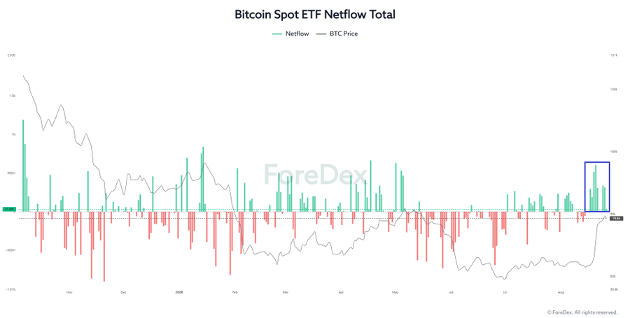 A bar chart titled "Bitcoin Spot ETF Netflow Total" displaying daily ETF inflows (teal) and outflows (red) from late 2023 through August 2024, overlaid with BTC price action (gray line) ranging from ~55k to ~125k, with a blue box highlighting a recent cluster of strong positive netflows around mid-August 2024 (~$300m+). The chart supports the post's claim about Bitcoin entering a "liquidity sweep zone" for shorts, as recent heavy ETF inflows coincide with a sharp BTC price recovery, suggesting structural support rather than wishful short-position thinking.