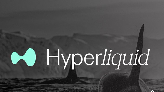 The Hyperliquid logo featuring a teal icon and white text displayed over a grayscale image of orcas in the ocean.