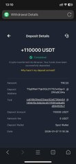 A screenshot of a Binance "Withdrawal Details" page showing a successful +110000 USDT transfer, unrelated to the accompanying post about altcoins potentially repeating a past bottom setup for a 5-10x rally.