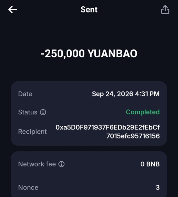 A mobile wallet screenshot showing a completed transaction of '-250,000 YUANBAO' sent on 'Sep 24, 2026 4:31 PM' to recipient '0xa5D0F971937F6EDb29E2fEbCf7015efc95716156' with 'Network fee 0 BNB' and 'Nonce 3'.