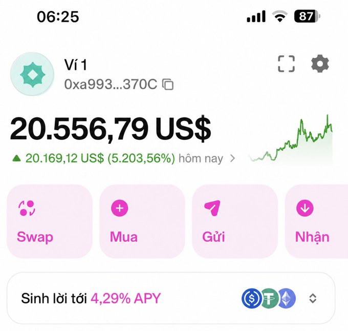 Crypto wallet interface in Vietnamese showing a balance of 20,556.79 US$ with a gain of 5,203.56%, featuring Swap, Mua (Buy), Gửi (Send), and Nhận (Receive) buttons.