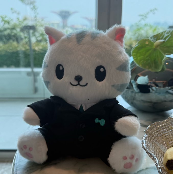 A small plush cat toy with white and blue-gray striped fur wearing a black hoodie, sitting on a table near a window with greenery visible outside.