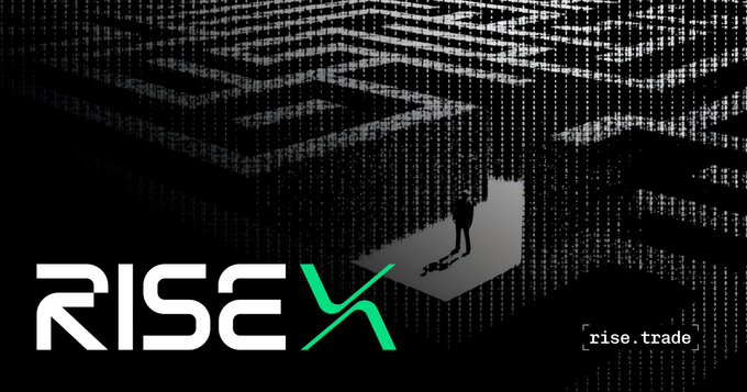 The image displays the "RISEX" logo (with the "X" in green) against a dark background featuring cascading white digital code, alongside a silhouetted figure walking toward a bright opening, with "[rise.trade]" text in the corner. This visual reinforces the accompanying post's introduction to RISEx as a perpetual futures DEX, evoking themes of navigating complex digital systems and emerging into a promising opportunity in decentralized trading.