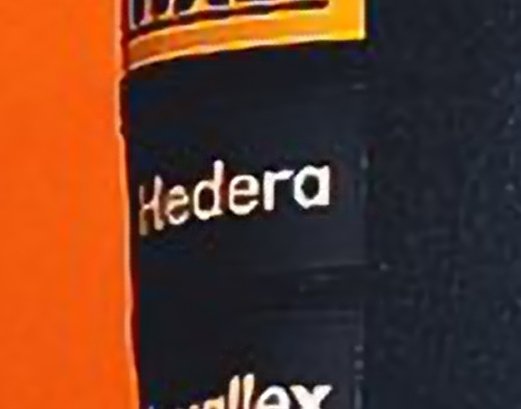 The image shows a close-up of an orange wall with the text "Hedera" written on it, along with the words "Lando's" and " McLaren Racing", which are likely related to the sport of Lando'S racing. The focus is on the text "Hedera" in white letters against the orange background.
