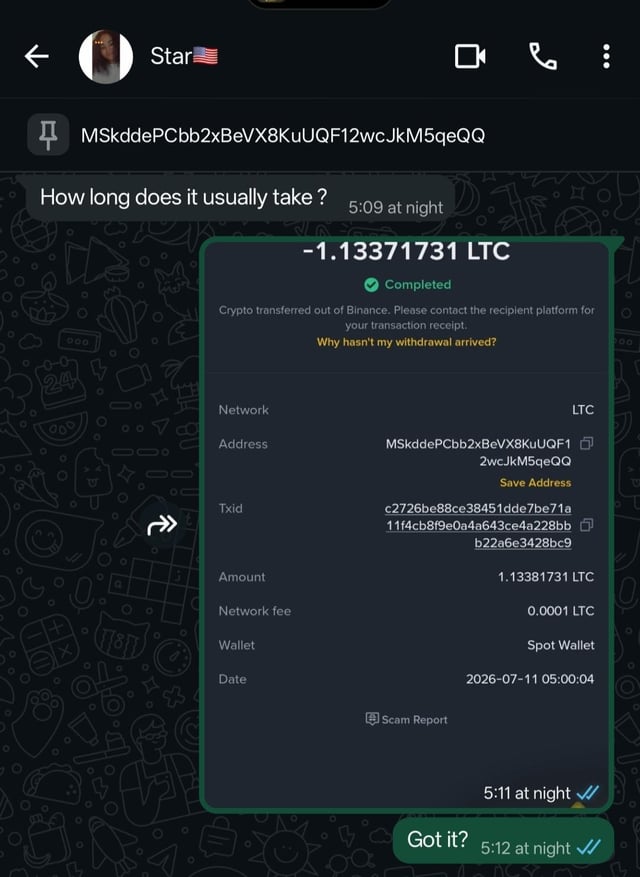 A messaging app screenshot showing a completed cryptocurrency transfer of -1.13371731 LTC to address MSkddePCbb2xBeVX8KuUQF12wcJkM5qeQQ, with messages asking 'How long does it usually take?' and 'Got it?'