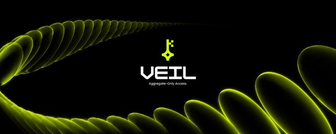 A sleek black banner features yellow-green glowing wave patterns flanking a central logo that reads "VEIL — Aggregate-Only Access." The futuristic, data-driven aesthetic of the design reinforces the post's theme about the missing data layer in real-world asset (RWA) tokenization, visually emphasizing Veil's role in unlocking aggregated, on-chain data.