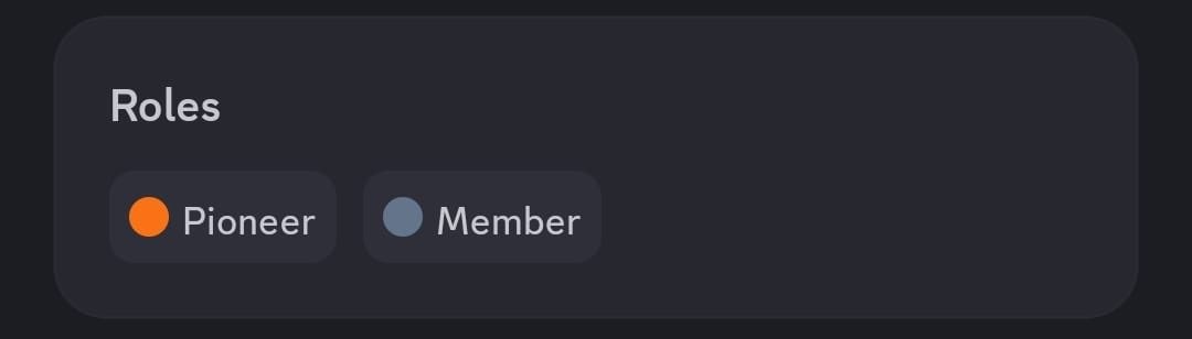 A dark-themed interface displaying a "Roles" section with two badges: an orange "Pioneer" role and a blue "Member" role.