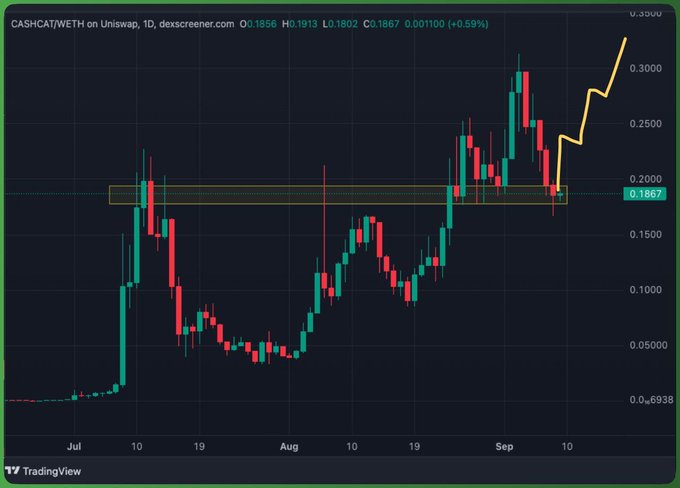 A TradingView candlestick chart on DexScreener showing CASHCAT/WETH on Uniswap with a daily timeframe, displaying price recovery from lows in July to current price of 0.1867 WETH, with an orange trend line drawn on the chart.