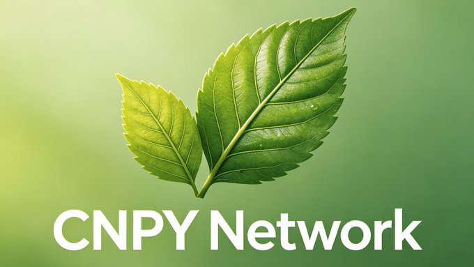 Logo design for 'CNPY Network' featuring two overlapping green tea leaves with water droplets on a soft green gradient background.