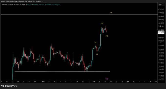 A TradingView chart of BTCUSDT Perpetual Contract shows a strong price rally labeled with Elliott Wave annotations, including waves (i), (ii), (iii), (iv), and (v), with price climbing from ~$74,000 toward ~$89,000 on the 4-hour timeframe, supporting the post's claim that another leg higher is likely based on Elliott Wave theory.