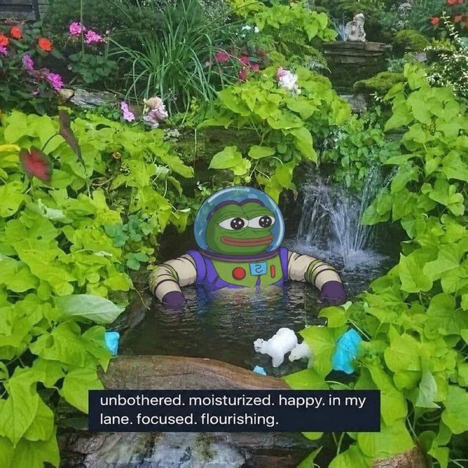A Pepe the Frog meme depicted wearing an astronaut helmet, floating in a garden pond surrounded by lush greenery, with text reading "unbothered. moisturized. happy. in my lane. focused. flourishing."