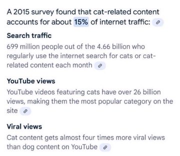 A 2015 infographic highlights cats' dominance online, noting that cat-related content makes up 15% of internet traffic, with 699 million monthly searchers, 26 billion+ YouTube views, and nearly four times more viral views than dog content—underscoring the post's claim that "cat coins are flipping dog coins."