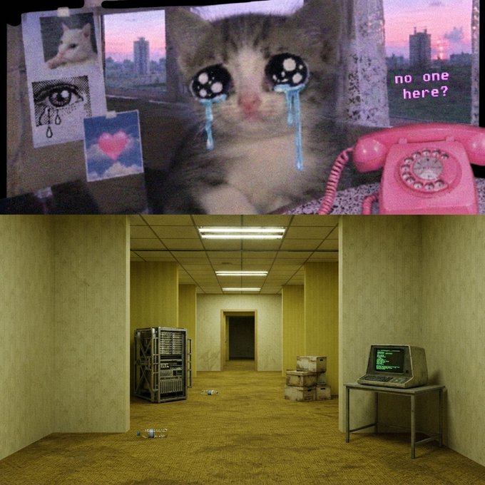A two-panel composite: the top shows a crying kitten with anime-style tears next to a pink rotary phone and polaroid photos with 'no one here?' text; the bottom shows a dimly lit, eerie yellow liminal backroom with old computers and cardboard boxes.
